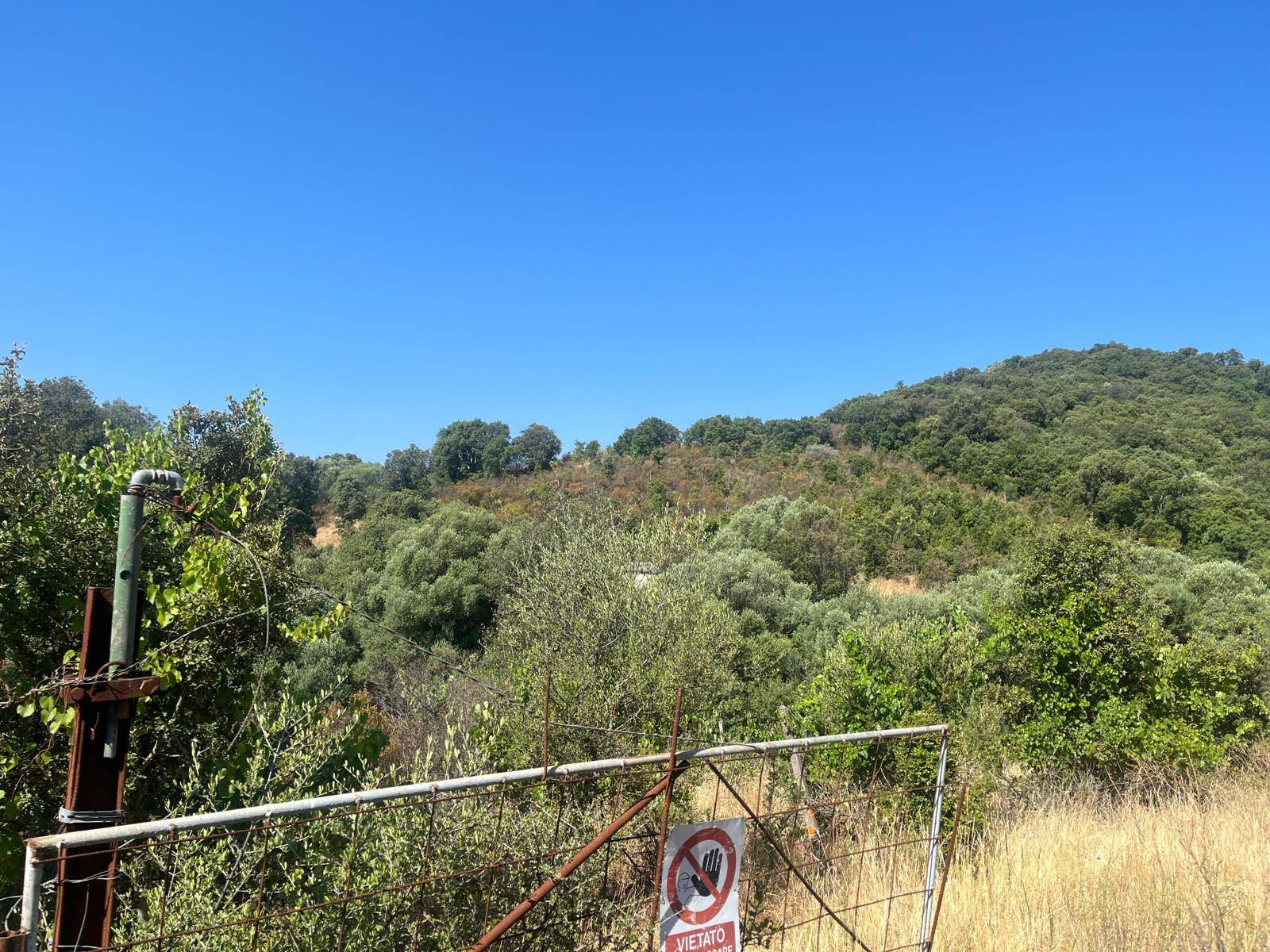 Terreno Agricolo in vendita a Monti