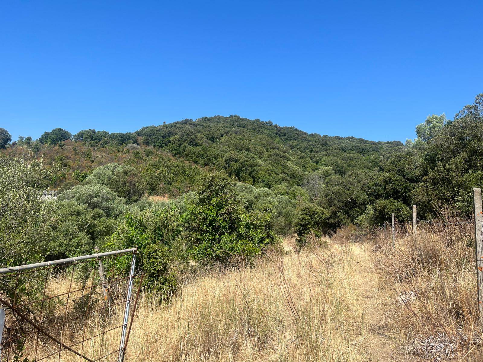 Terreno Agricolo in vendita a Monti