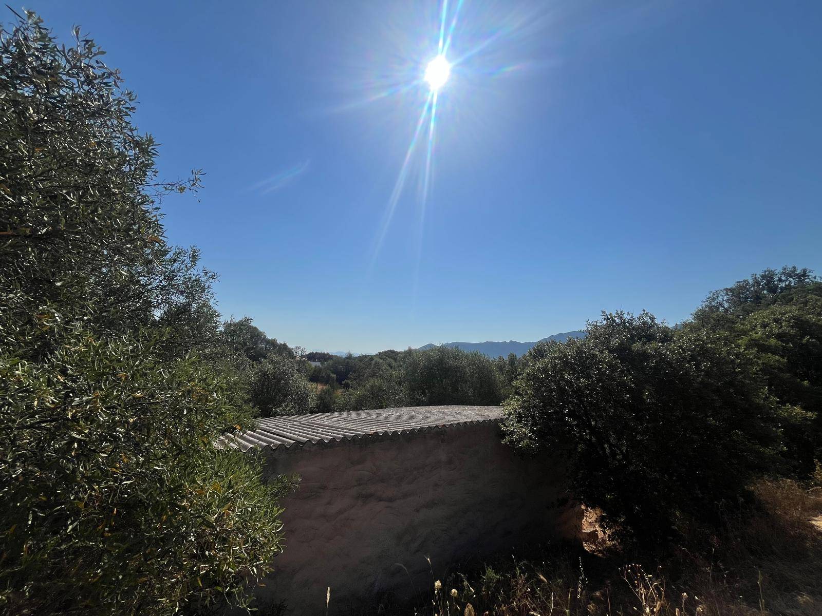 Terreno Agricolo in vendita a Monti