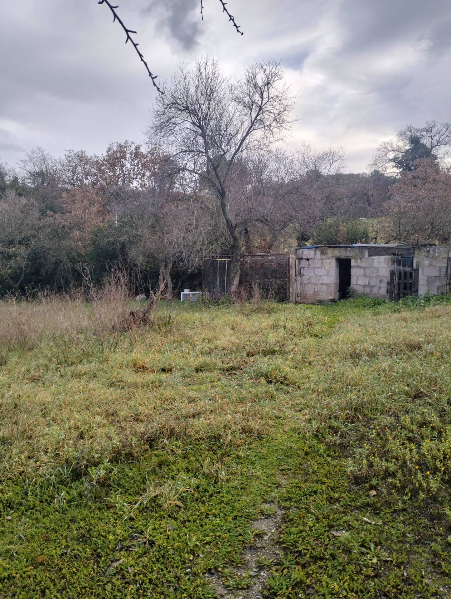 Rustico in vendita a Ozieri