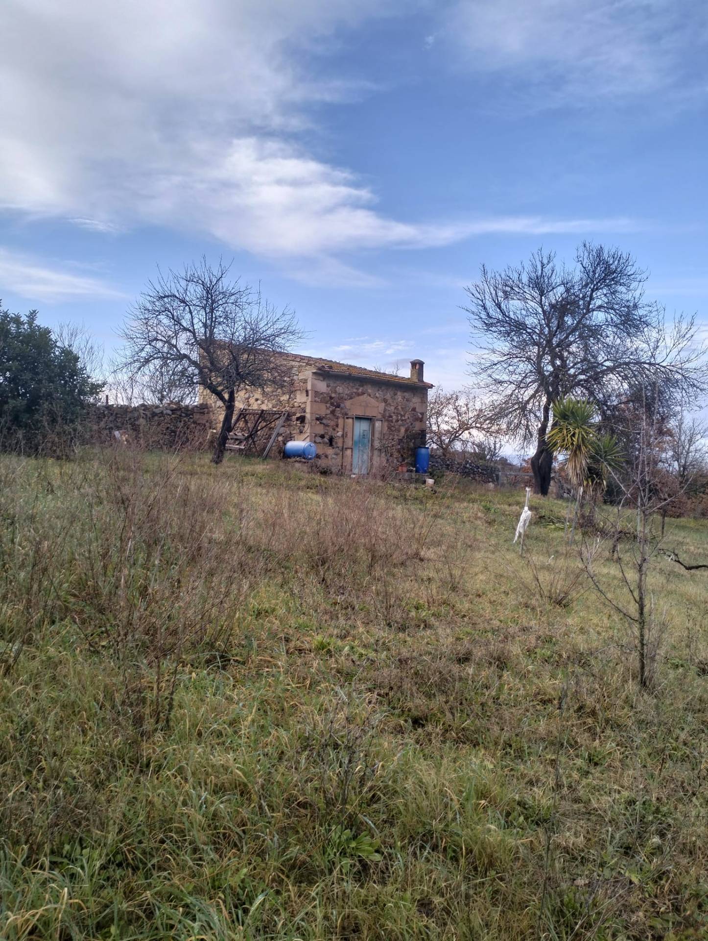 Rustico in vendita a Ozieri