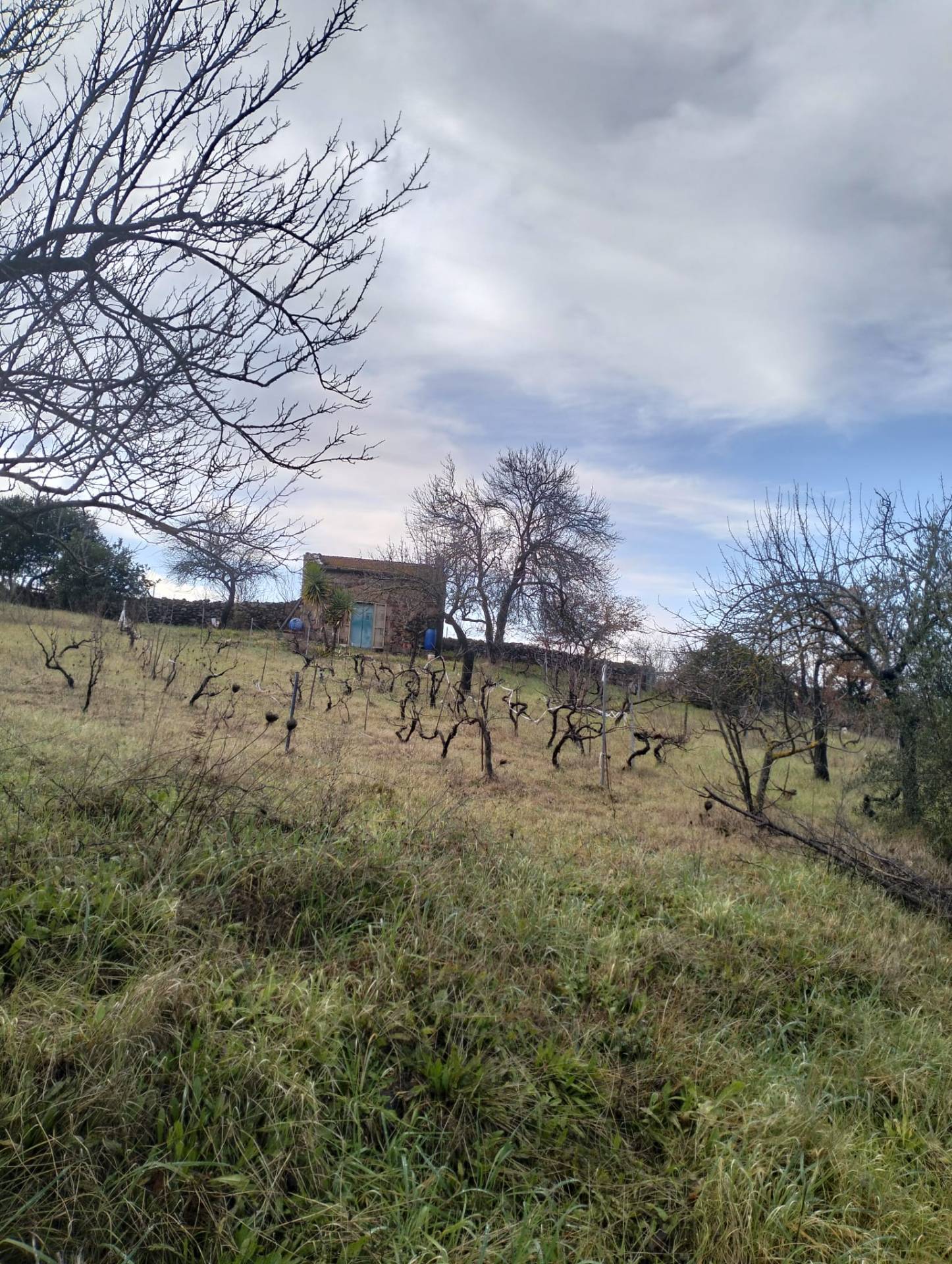 Rustico in vendita a Ozieri
