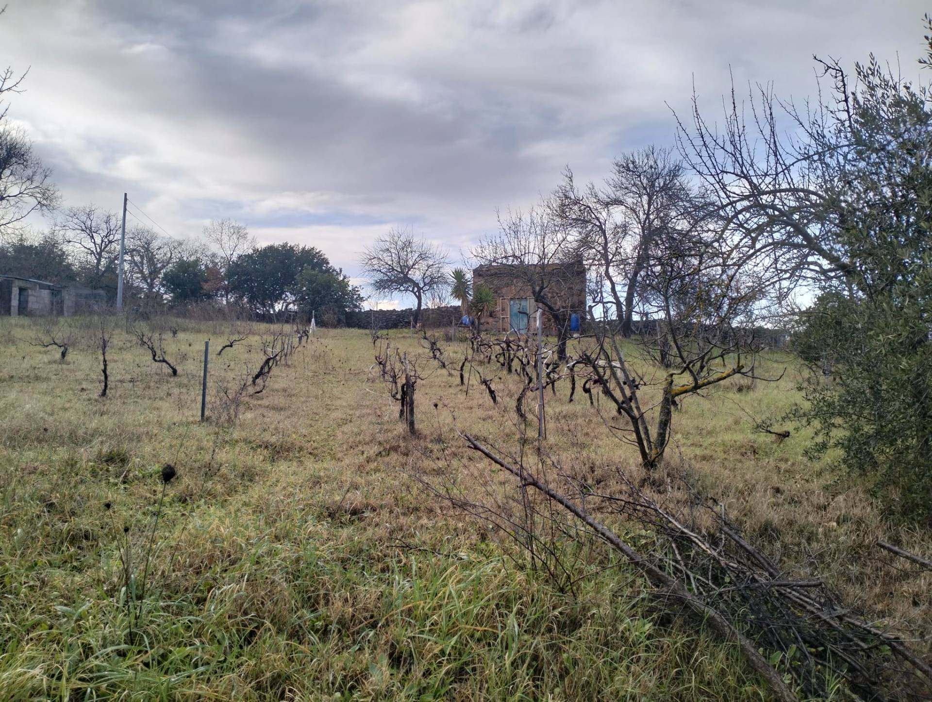 Rustico in vendita a Ozieri