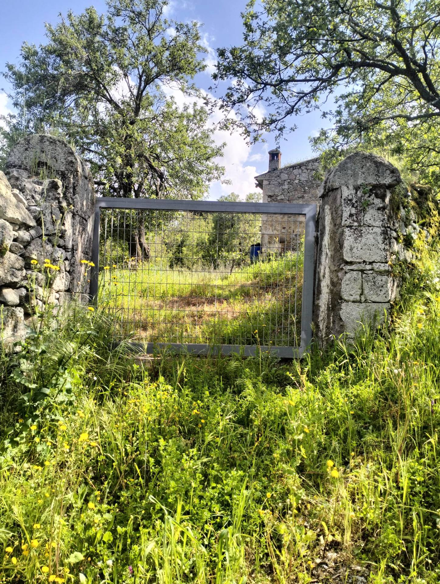 Rustico in vendita a Ozieri