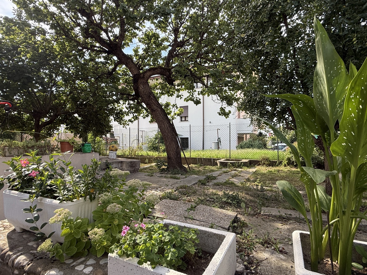 Appartamento con giardino a Albignasego