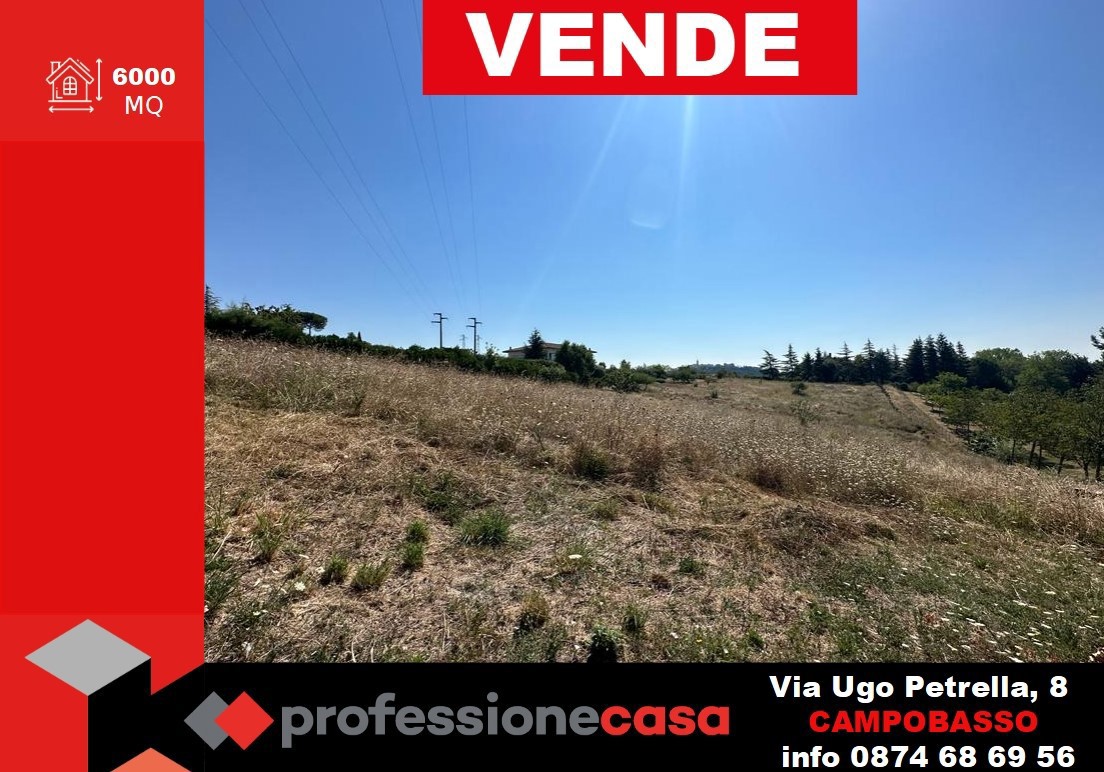 Terreno Agricolo in vendita a Campobasso