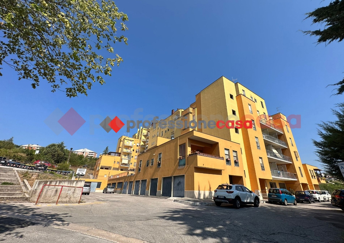 immagine annuncio 2 di 10