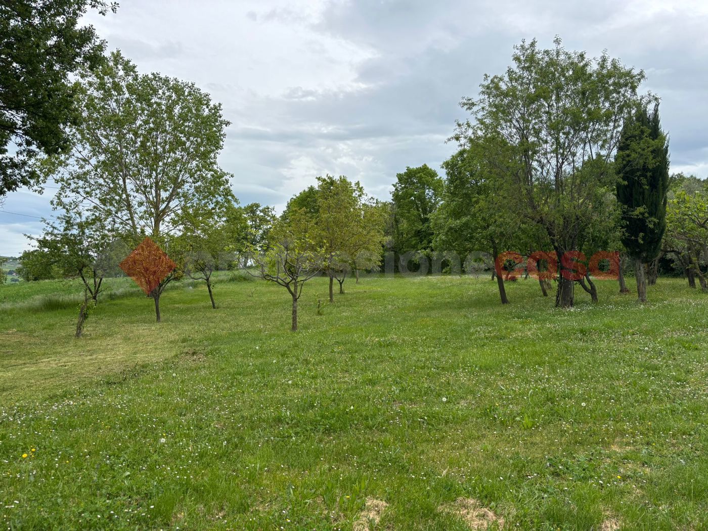Rustico con giardino a Jelsi