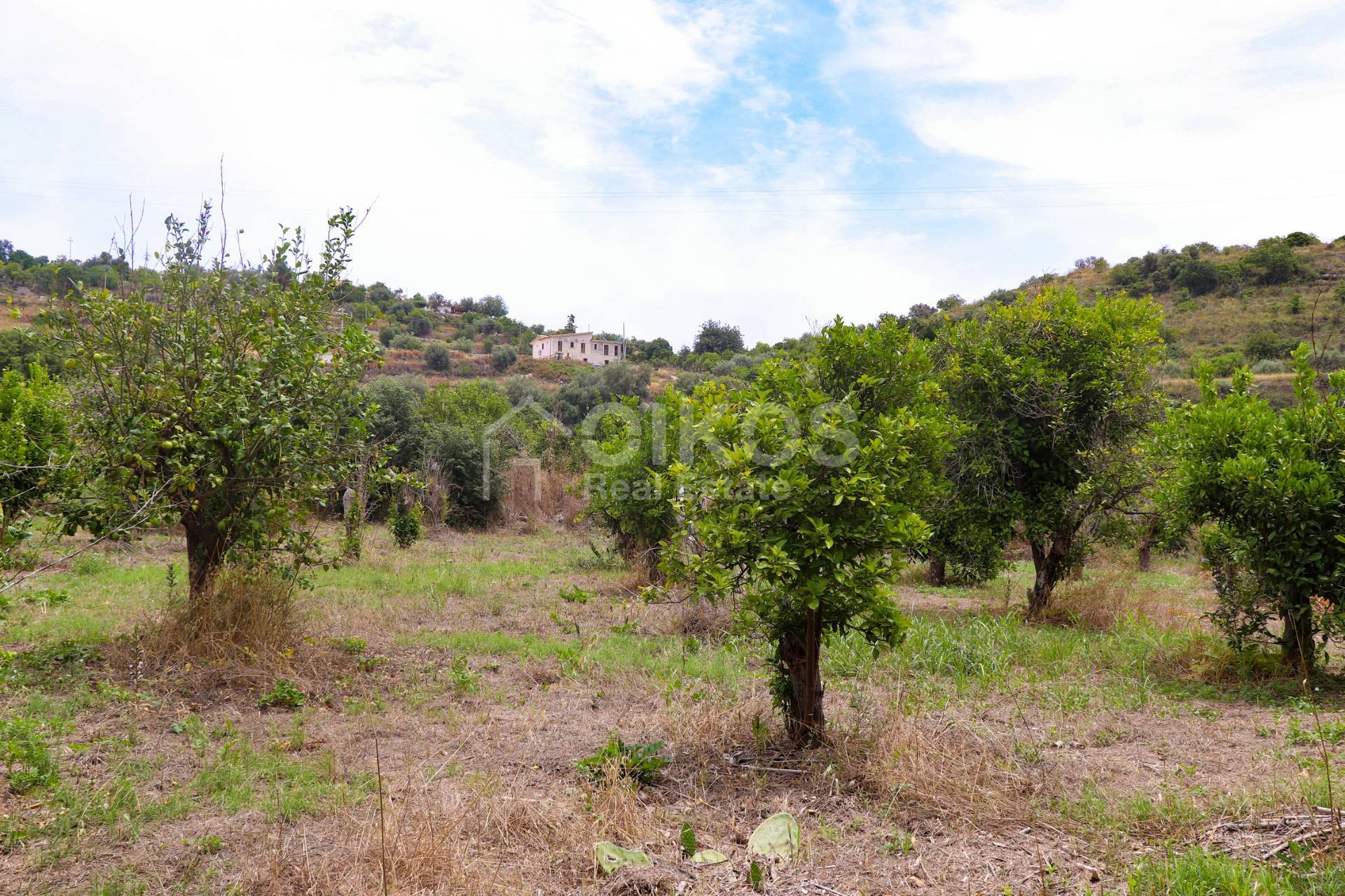 Terreno in vendita a Noto