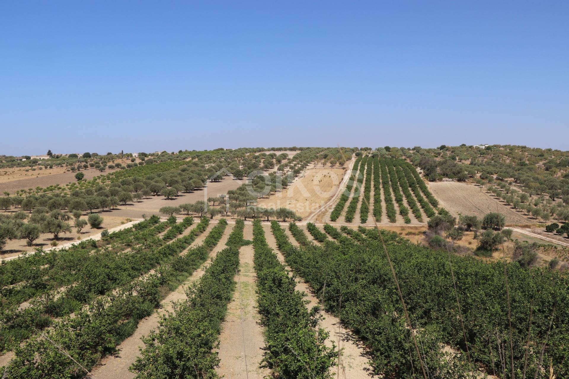 Terreno in vendita a Noto