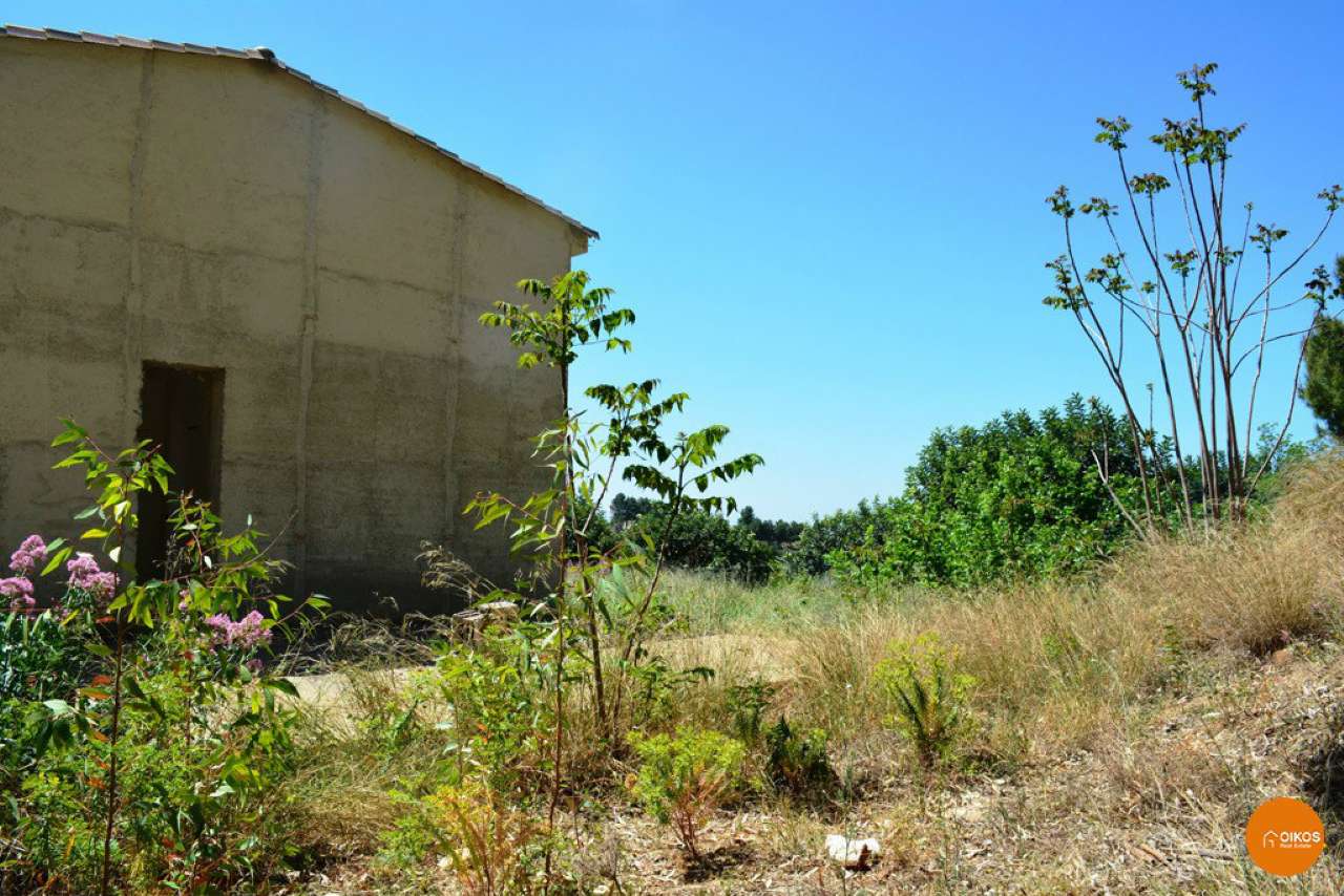 immagine annuncio 5 di 6