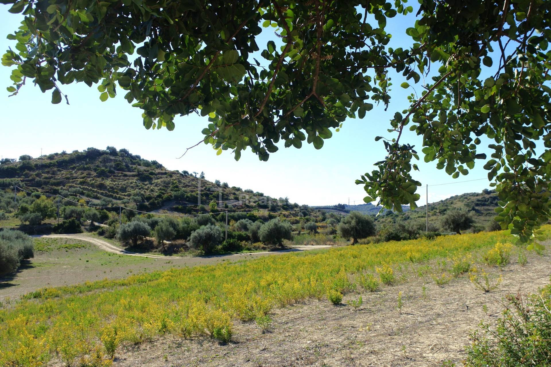 Terreno Agricolo in vendita a Avola, Bochini