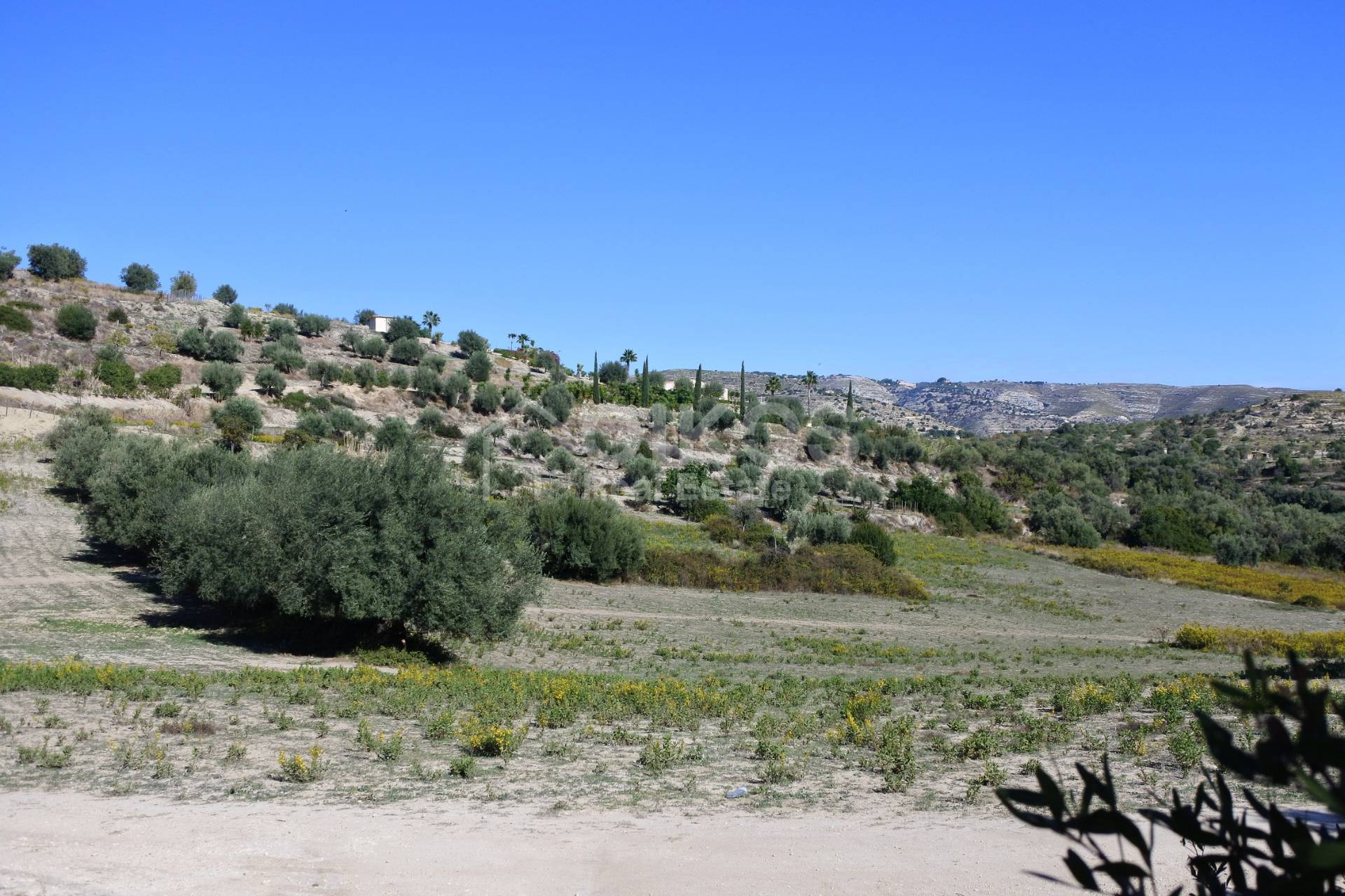 Terreno Agricolo in vendita a Avola, Bochini