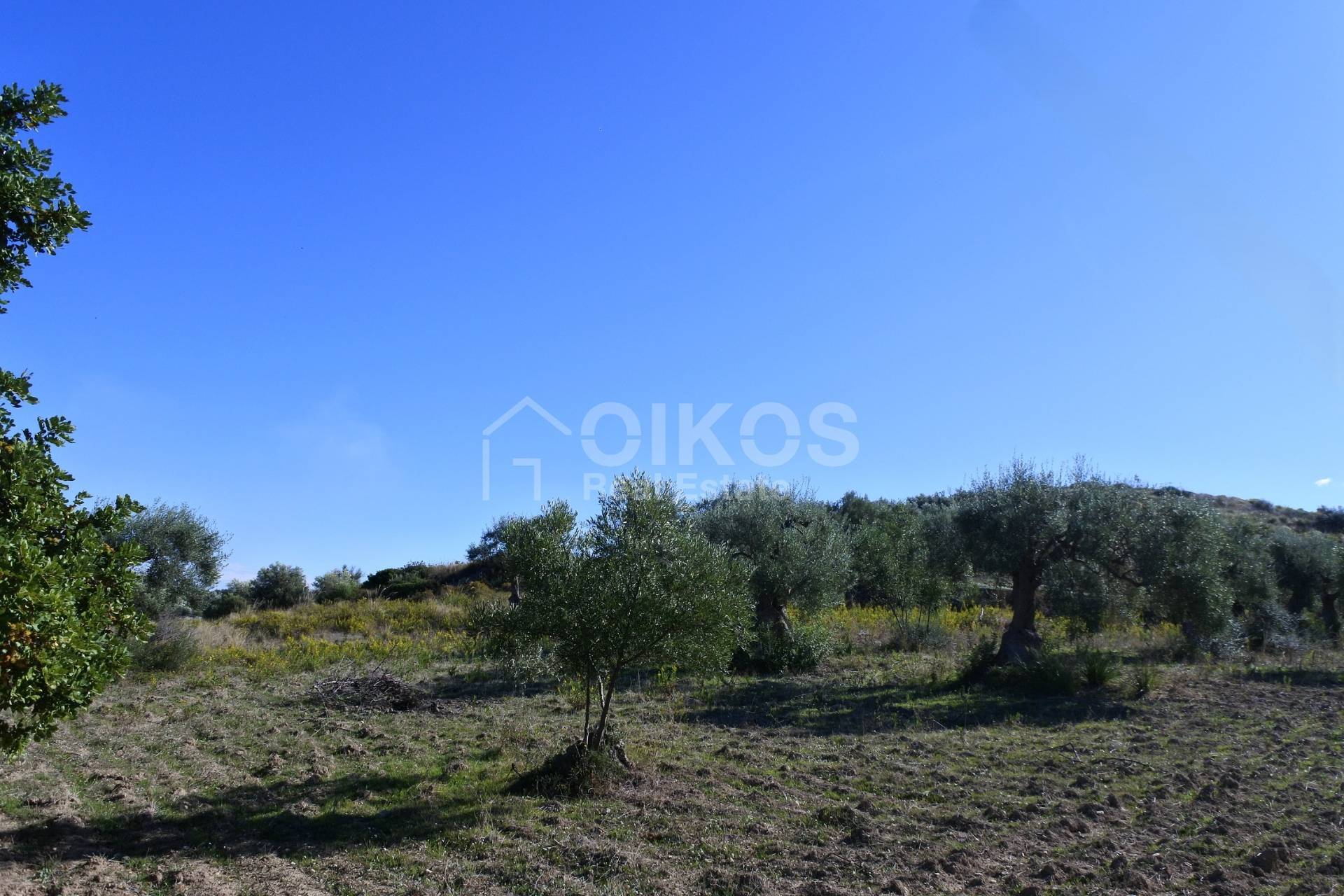 Terreno Agricolo in vendita a Avola, Bochini