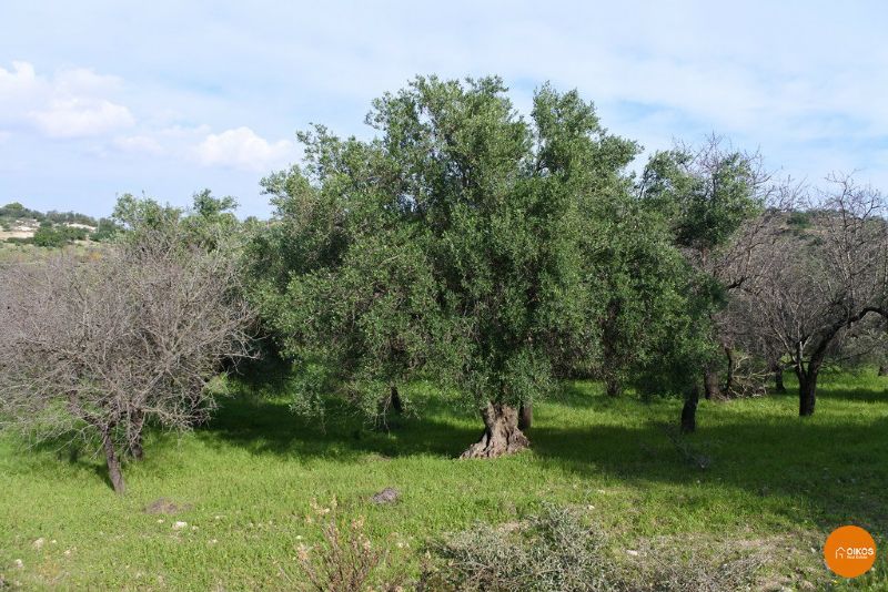 Terreno turistico in vendita a Noto, Tre Maiali