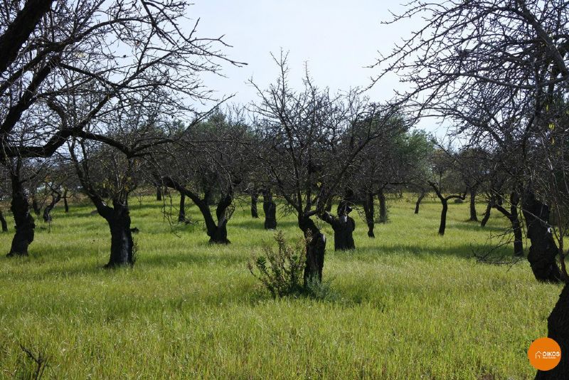 Terreno turistico in vendita a Noto, Tre Maiali