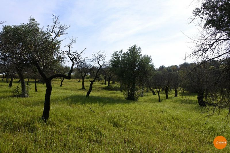 Terreno turistico in vendita a Noto, Tre Maiali