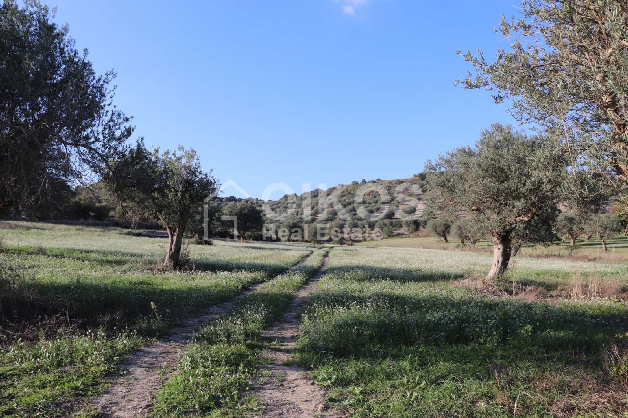 Terreno residenziale in vendita a Rosolini, San Giacomo
