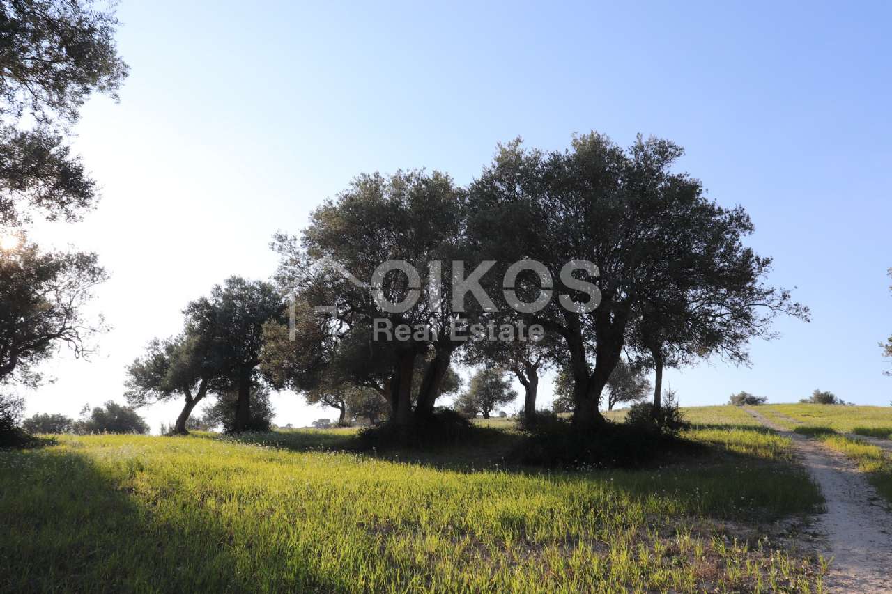 Terreno residenziale in vendita a Rosolini, San Giacomo