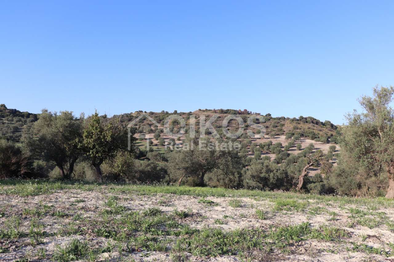 Terreno residenziale in vendita a Rosolini, San Giacomo
