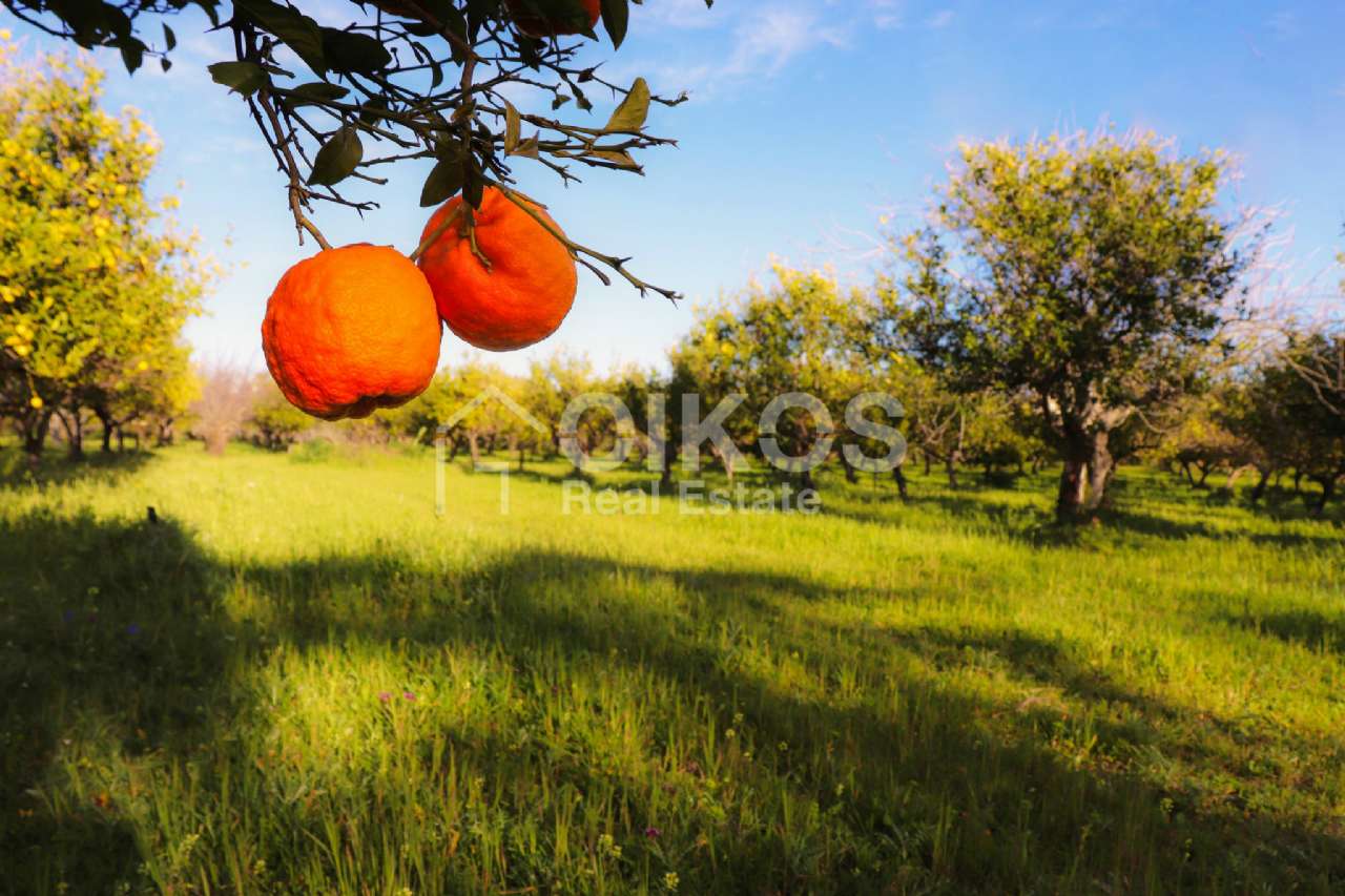 Terreno Agricolo in vendita a Noto, Casale