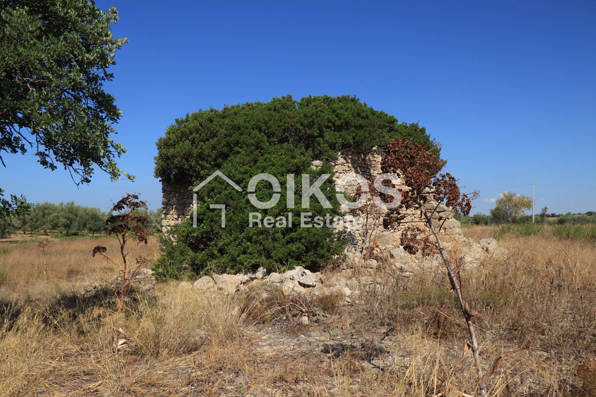 Terreno Agricolo in vendita a Noto, Colline Del Val Di Noto