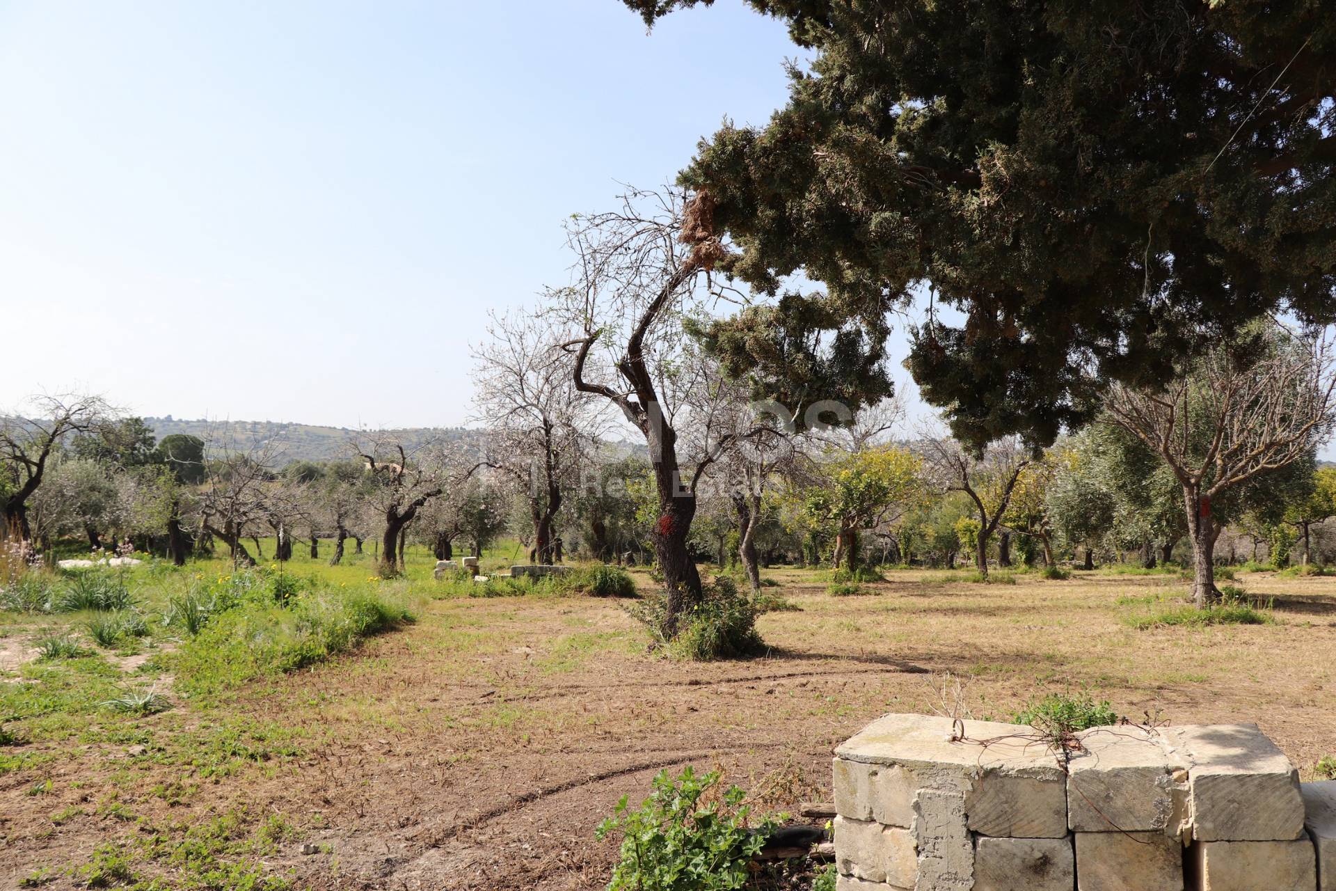 Terreno Agricolo in vendita a Noto, C.da Volpiglia