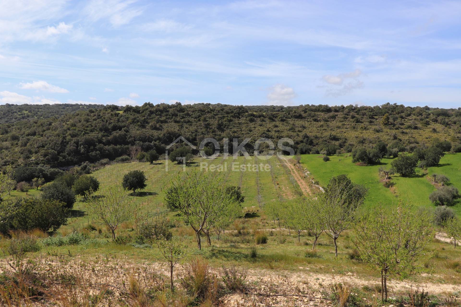 Terreno Agricolo in vendita a Noto, Colline Del Val Di Noto