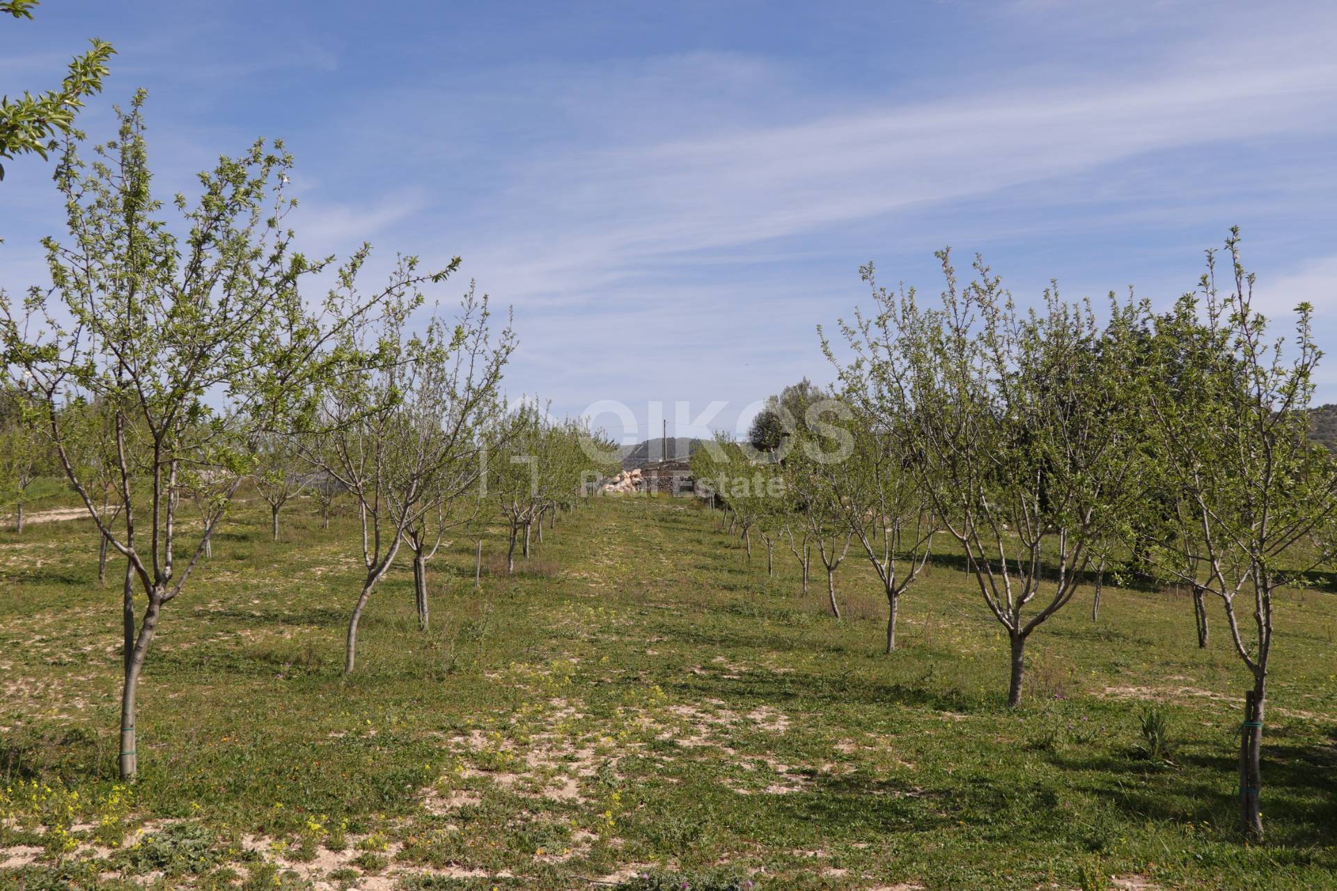Terreno Agricolo in vendita a Noto, Colline Del Val Di Noto