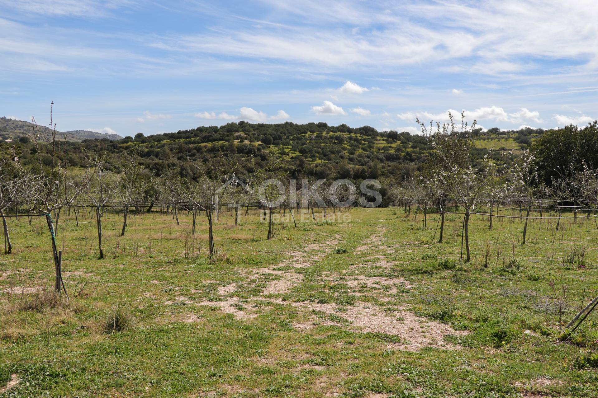 Terreno Agricolo in vendita a Noto, Colline Del Val Di Noto