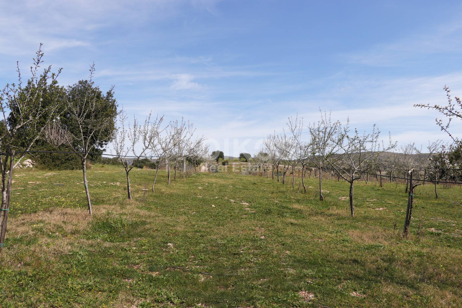 Terreno Agricolo in vendita a Noto, Colline Del Val Di Noto