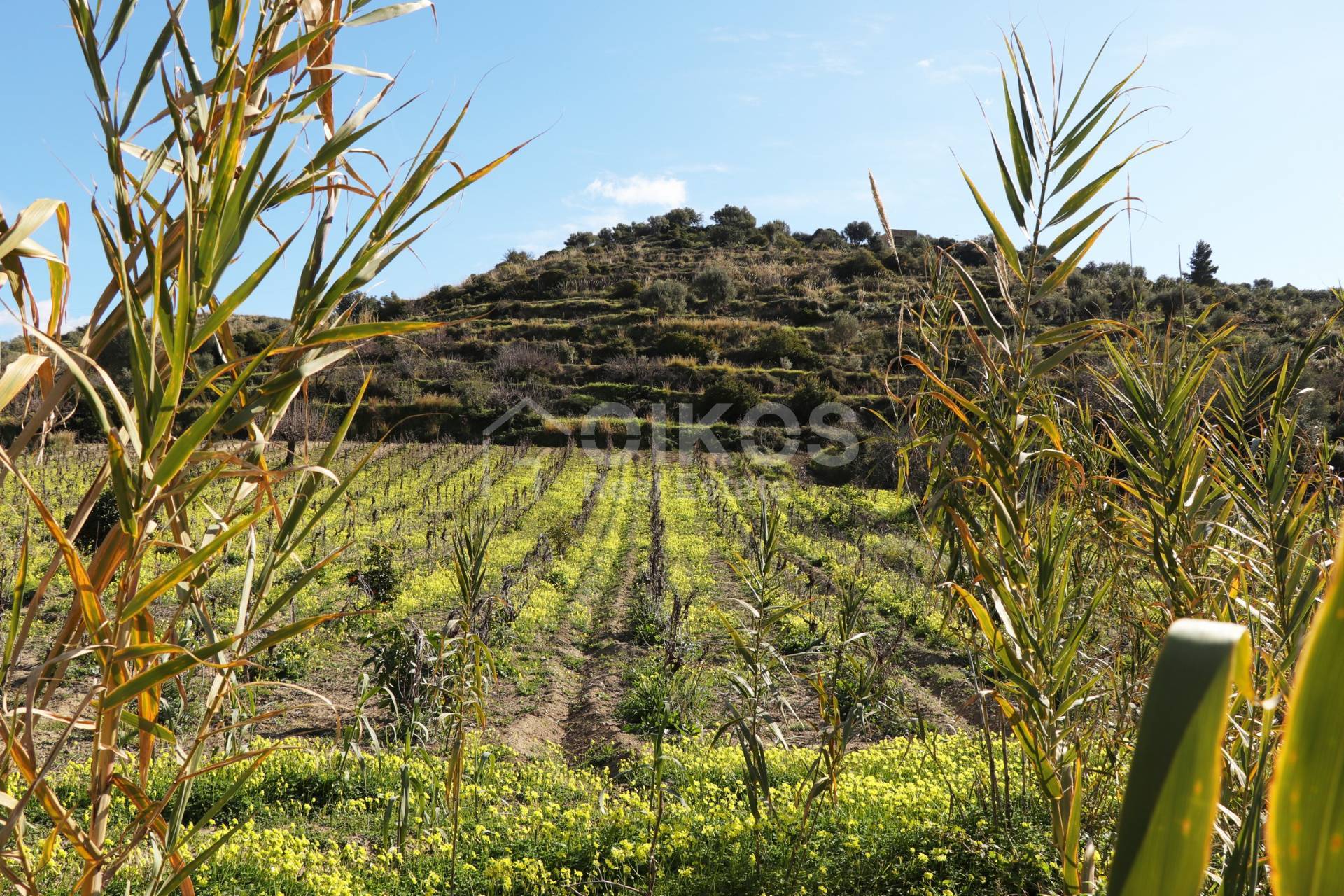 Terreno Agricolo in vendita a Avola, C.da Bochini