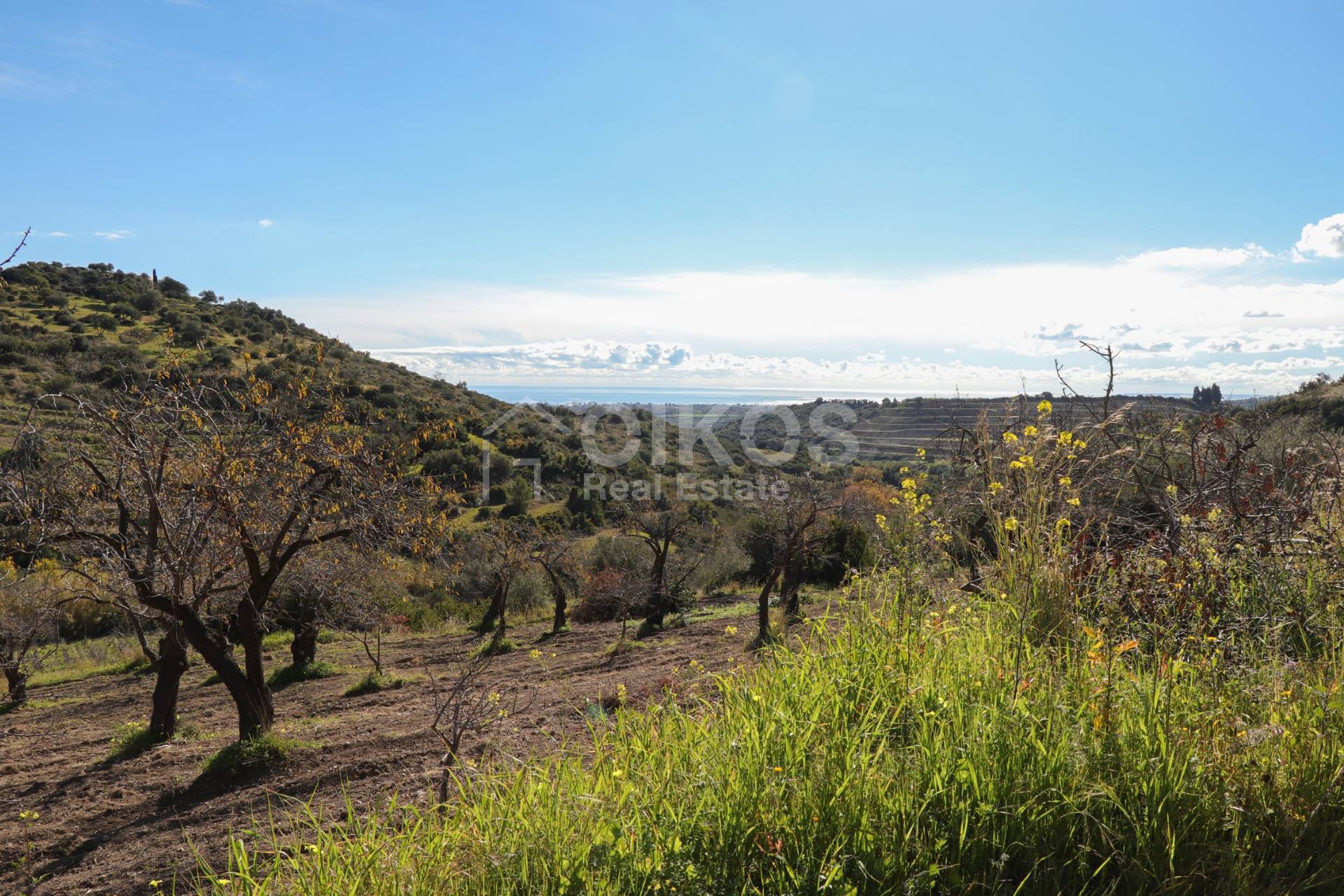 Terreno Agricolo in vendita a Avola, C.da Bochini