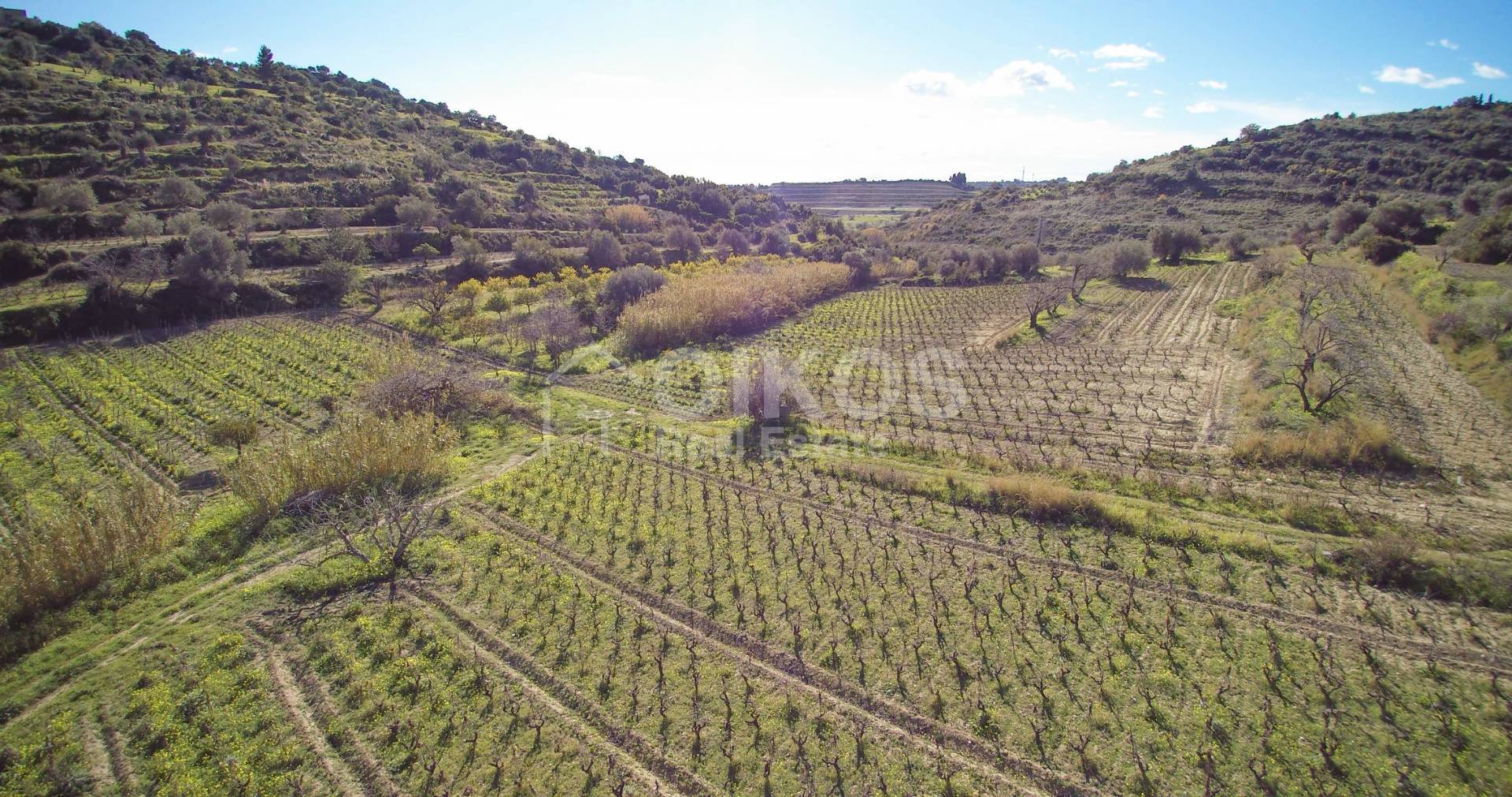 Terreno Agricolo in vendita a Avola, C.da Bochini