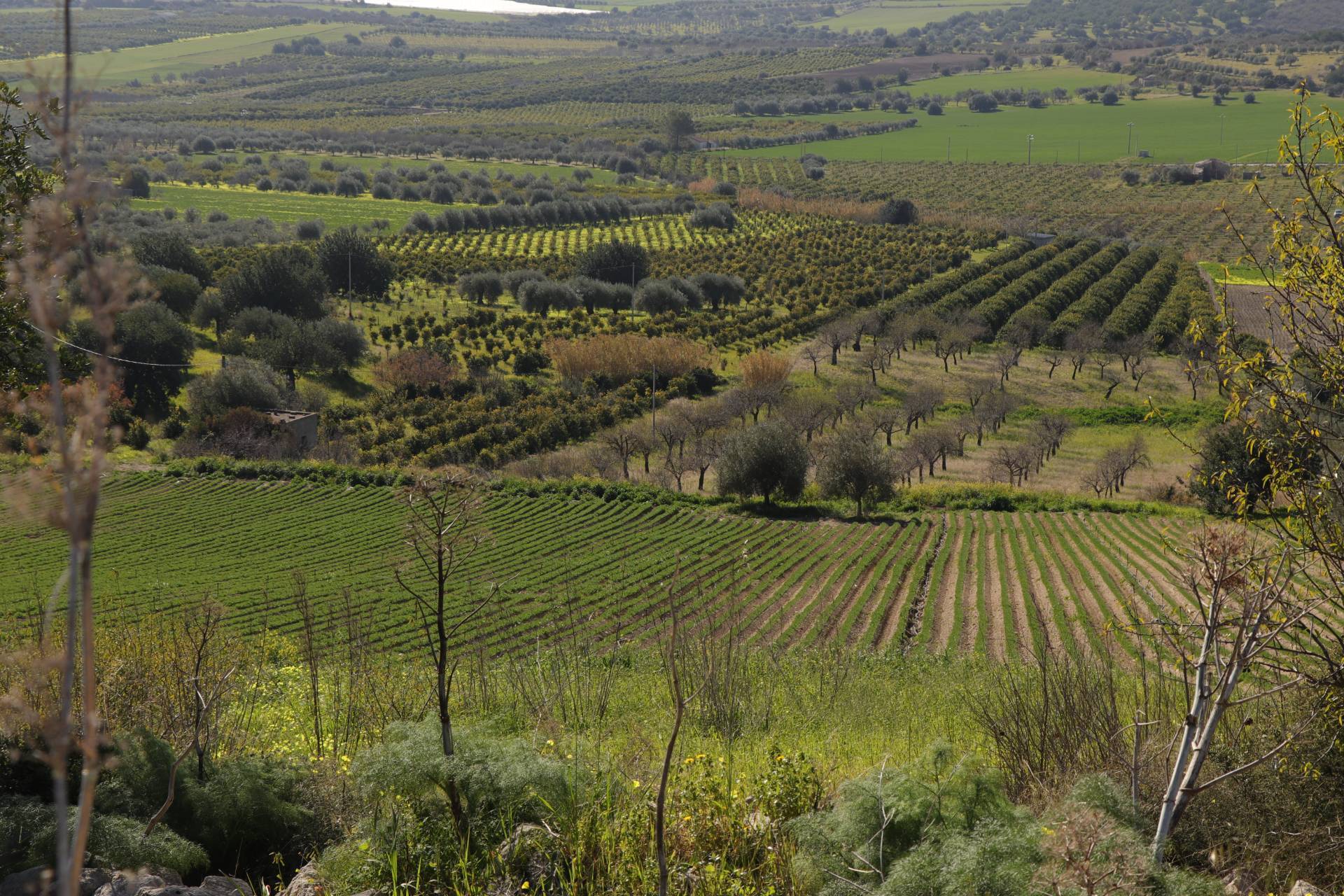 Terreno Agricolo in vendita a Noto