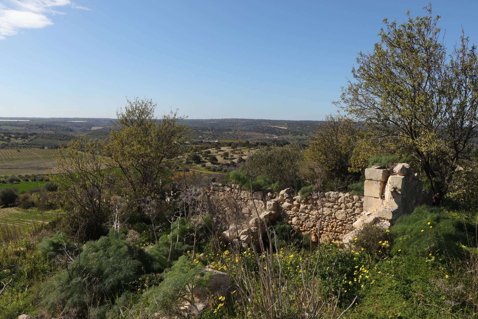 Terreno Agricolo in vendita a Noto