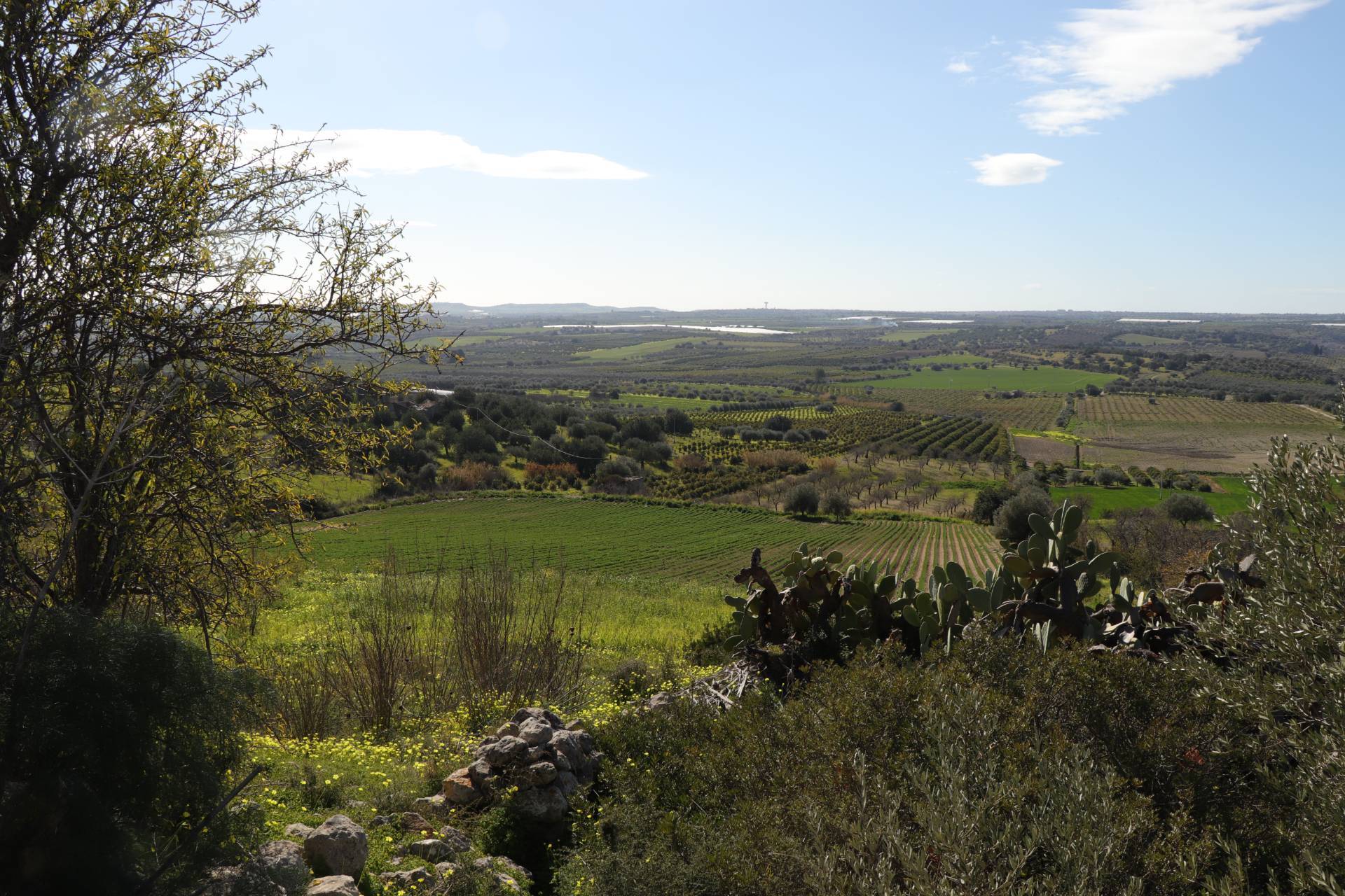 Terreno Agricolo in vendita a Noto