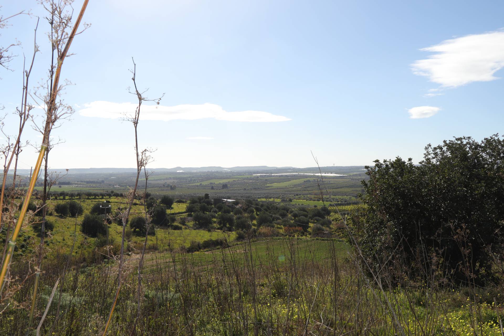 Terreno Agricolo in vendita a Noto