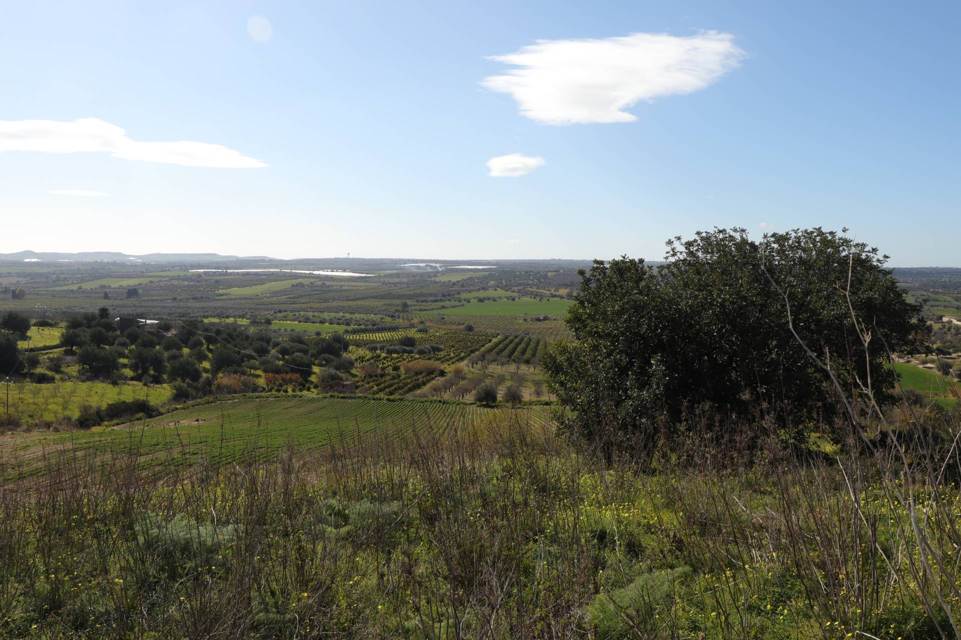 Terreno Agricolo in vendita a Noto