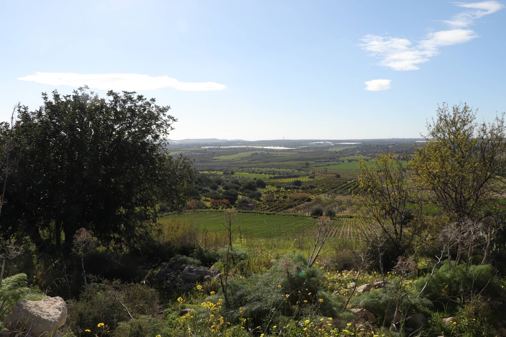 Terreno Agricolo in vendita a Noto