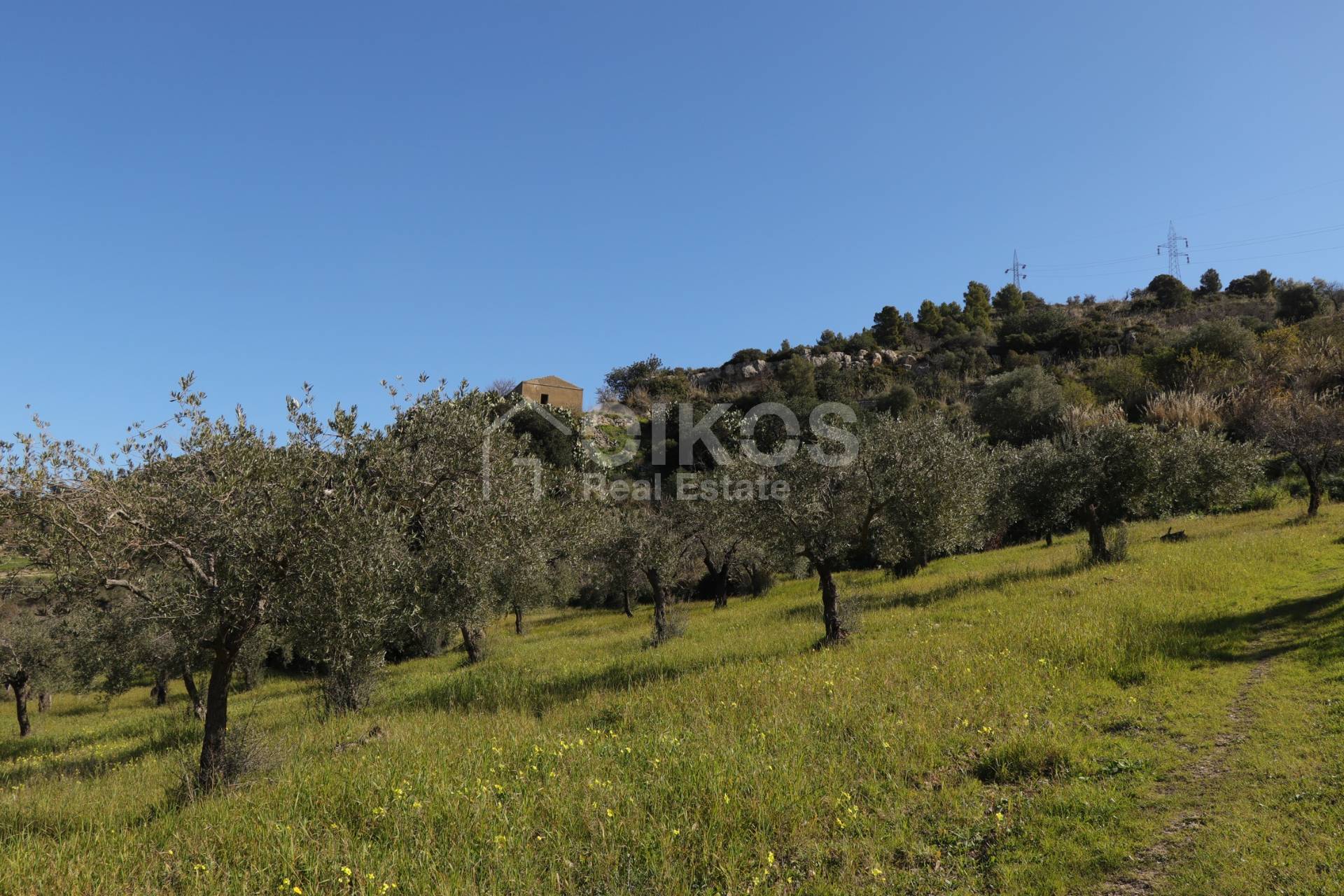 Terreno Agricolo in vendita a Noto, Colline Del Val Di Noto