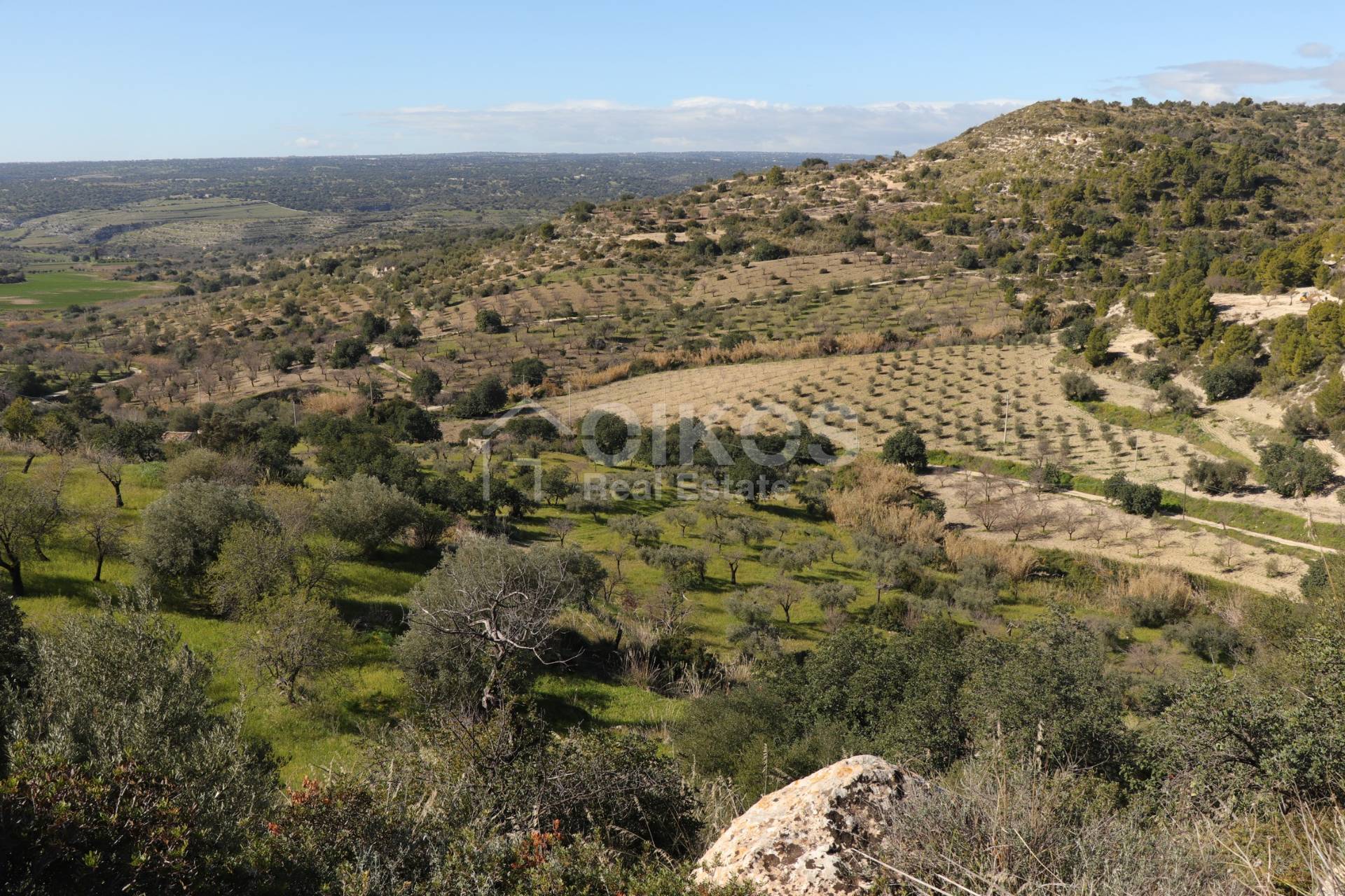 Terreno Agricolo in vendita a Noto, Colline Del Val Di Noto