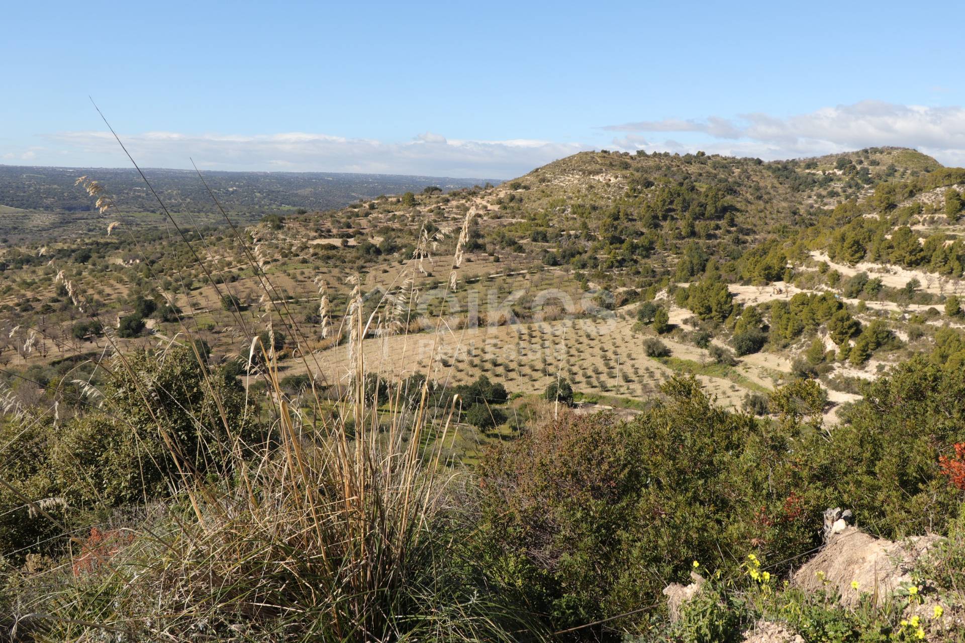 Terreno Agricolo in vendita a Noto, Colline Del Val Di Noto
