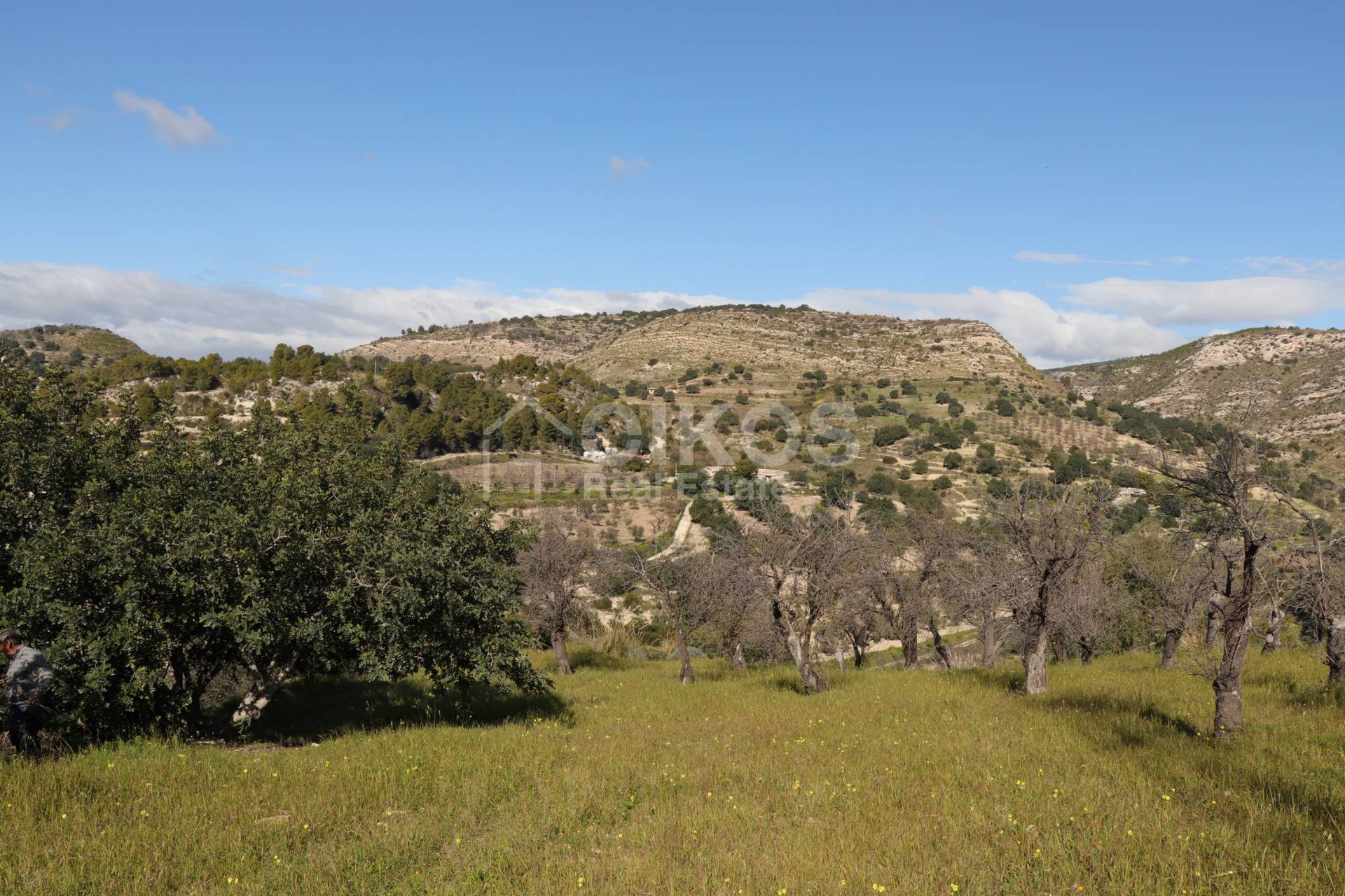 Terreno Agricolo in vendita a Noto, Colline Del Val Di Noto