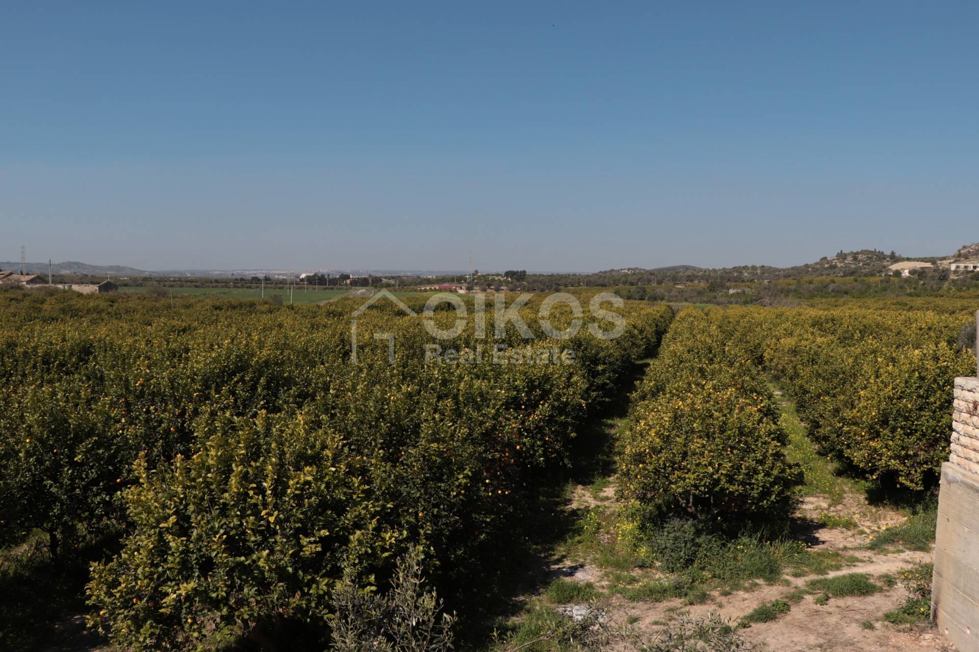 Terreno Agricolo in vendita a Noto