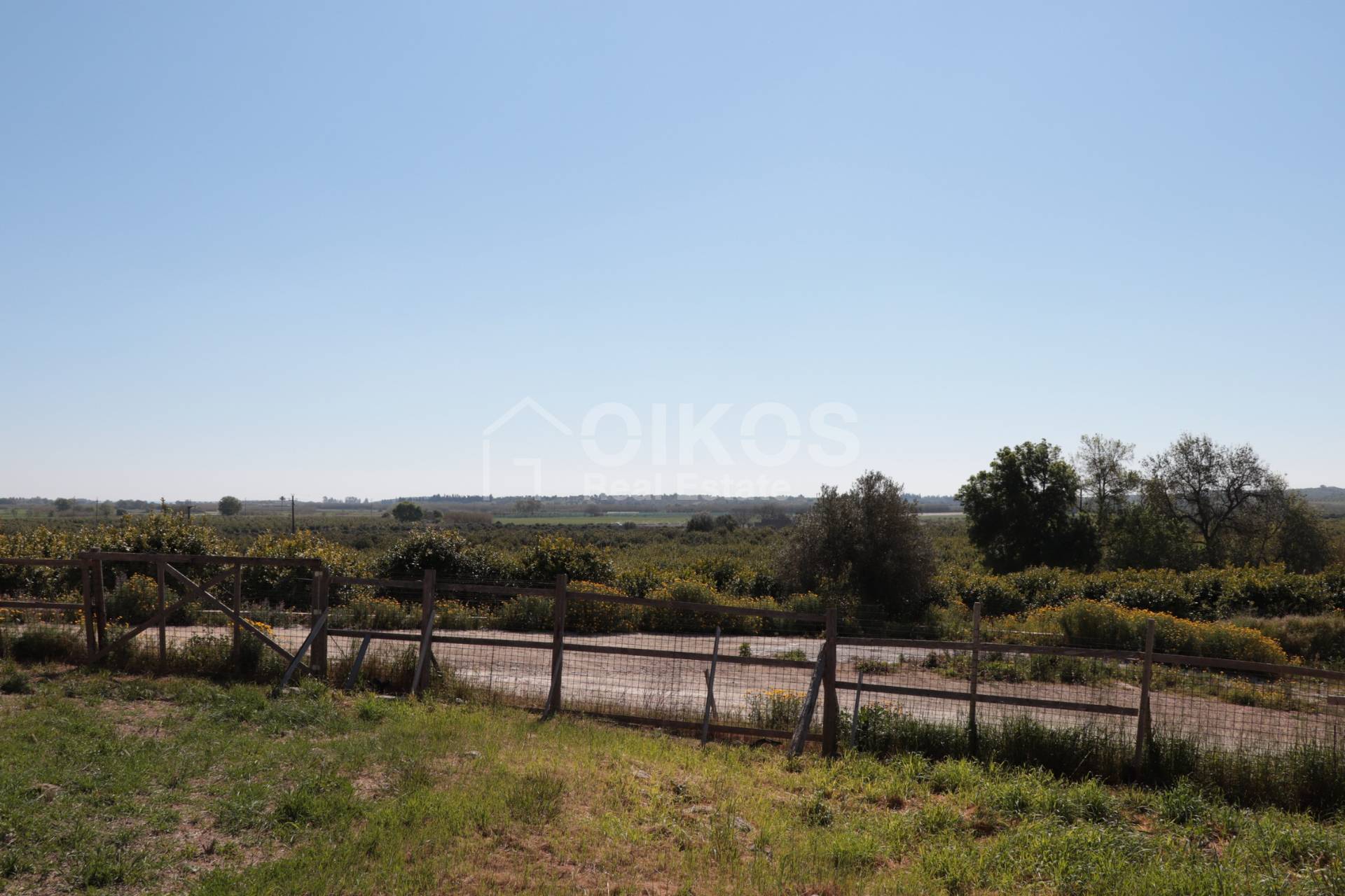 Terreno Agricolo in vendita a Noto