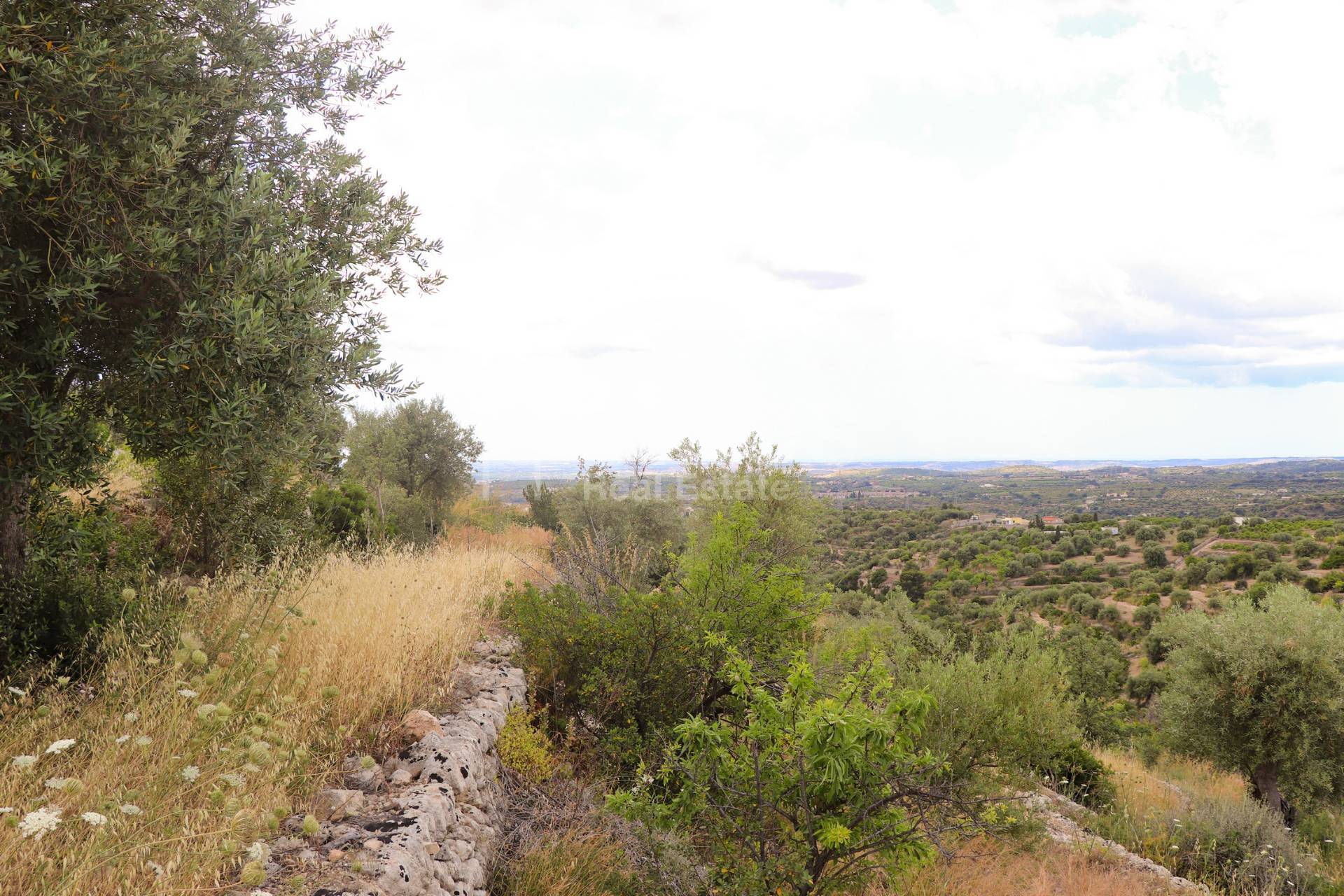 Terreno Agricolo in vendita a Noto, Colline Del Val Di Noto