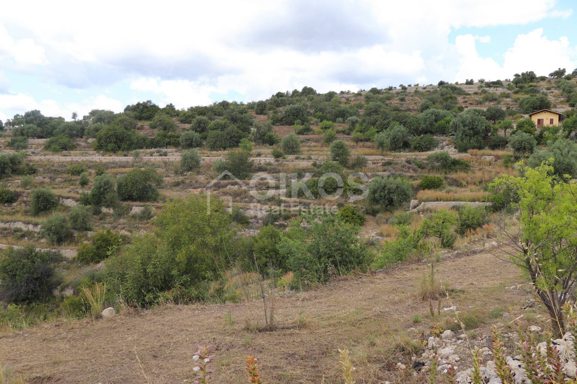 Terreno Agricolo in vendita a Noto, Colline Del Val Di Noto