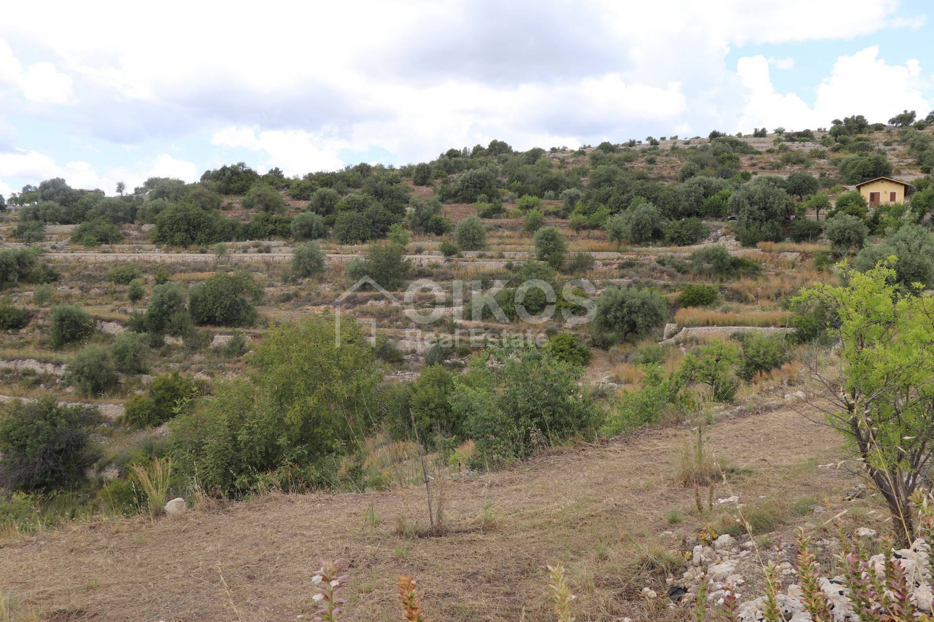 Terreno Agricolo in vendita a Noto, Colline Del Val Di Noto