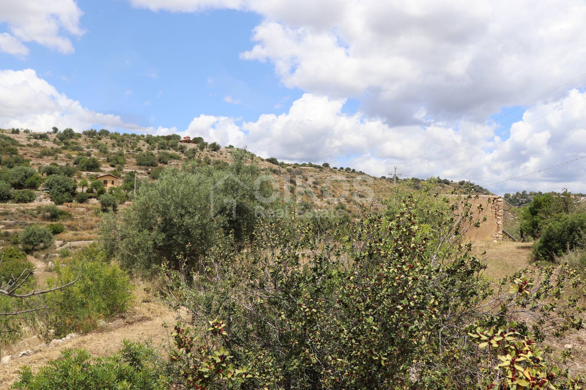 Terreno Agricolo in vendita a Noto, Colline Del Val Di Noto